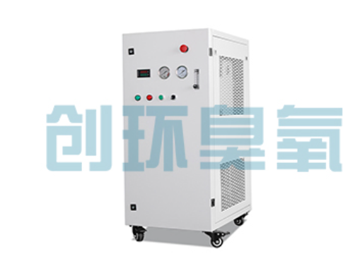 海南藏族石斑鱼养殖水质调控完整指南：臭氧发生器配置与操作步骤