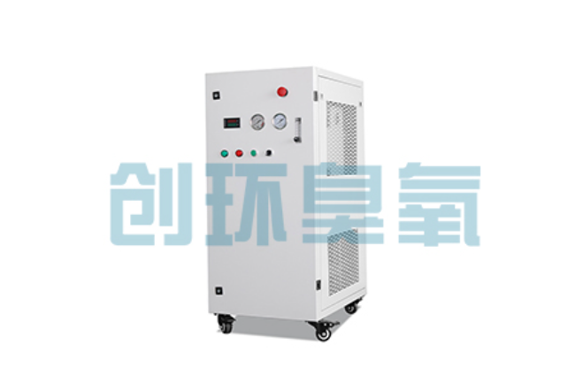 海南藏族比传统换水更高效?臭氧发生器在石斑鱼养殖中的水质净化原理解析